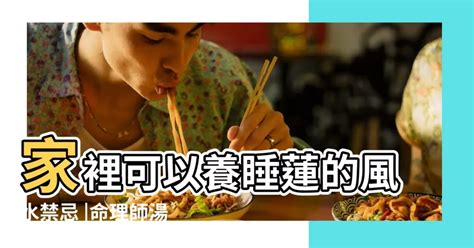 家裡可以養的寵物